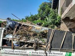 Best Construction Debris Removal  in Lacoste, TX